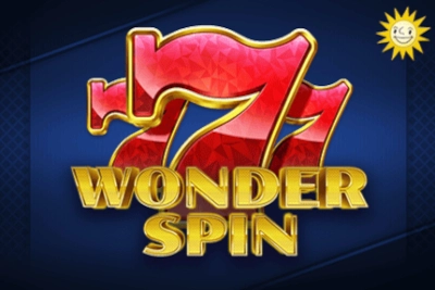 13948 wonder spin