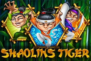 24228 shaolins tiger